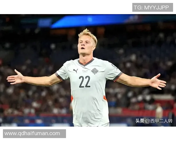 冰岛足球现役球星全解析 聚焦国家队新生力量与未来潜力